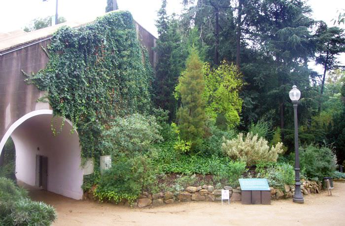 Jardín Botánico Histórico