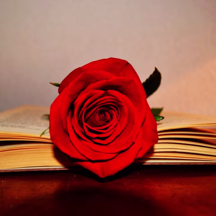 Los 20 mejores planes para Sant Jordi en 2026