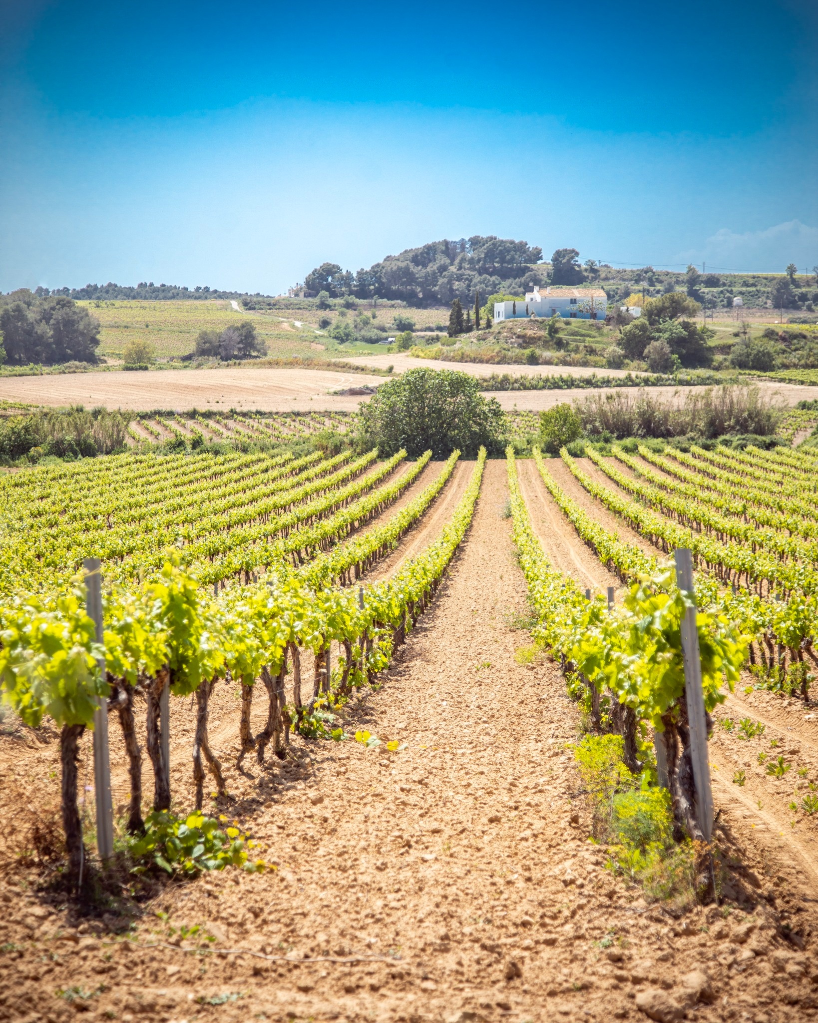 5 rutas increibles por la provincia de Barcelona