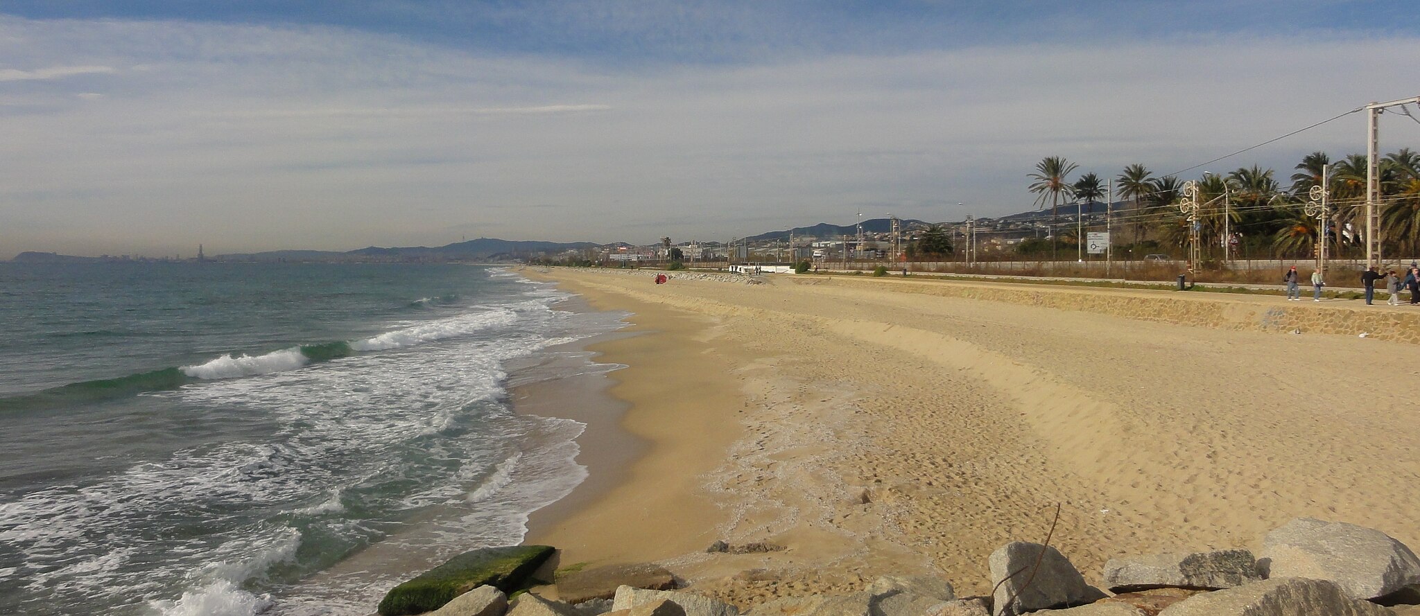 Mejores playas para perros en Barcelona