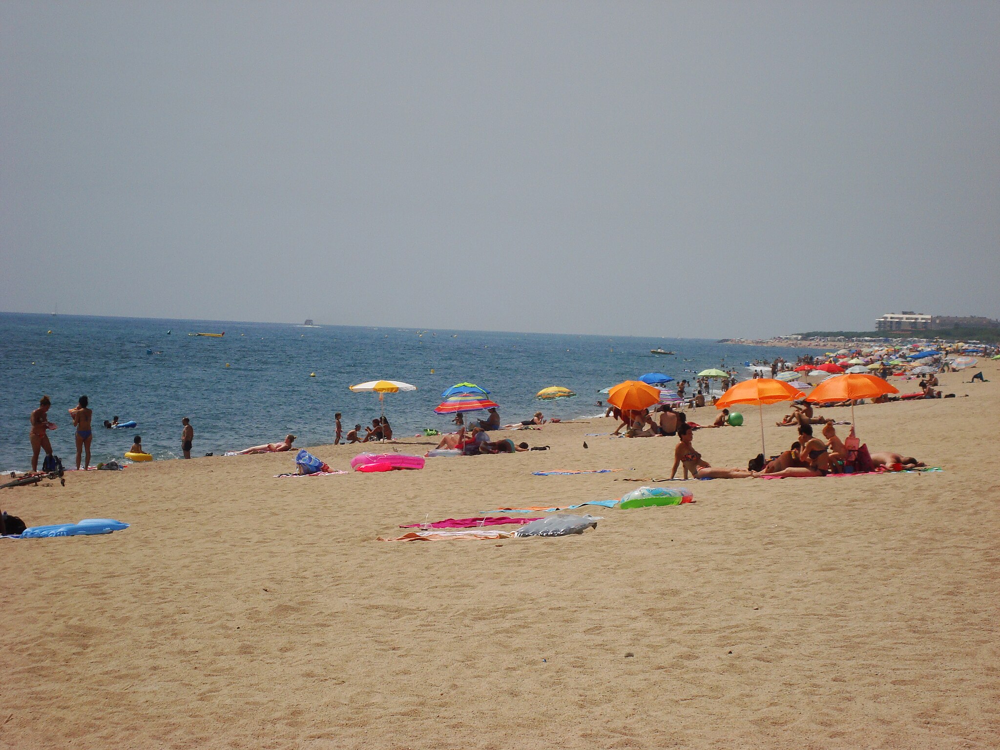 Mejores playas para perros en Barcelona