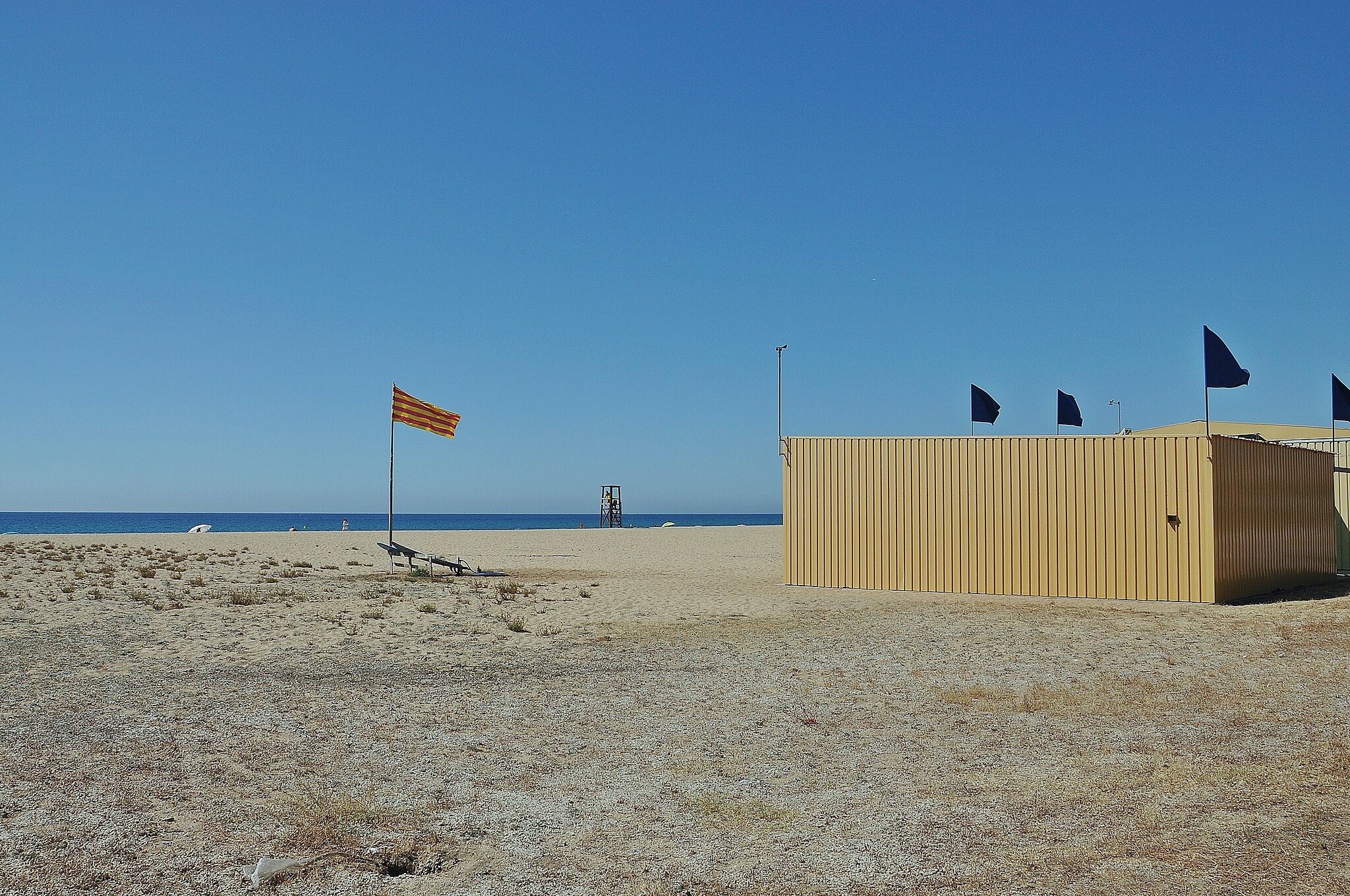 Mejores playas para perros en Barcelona