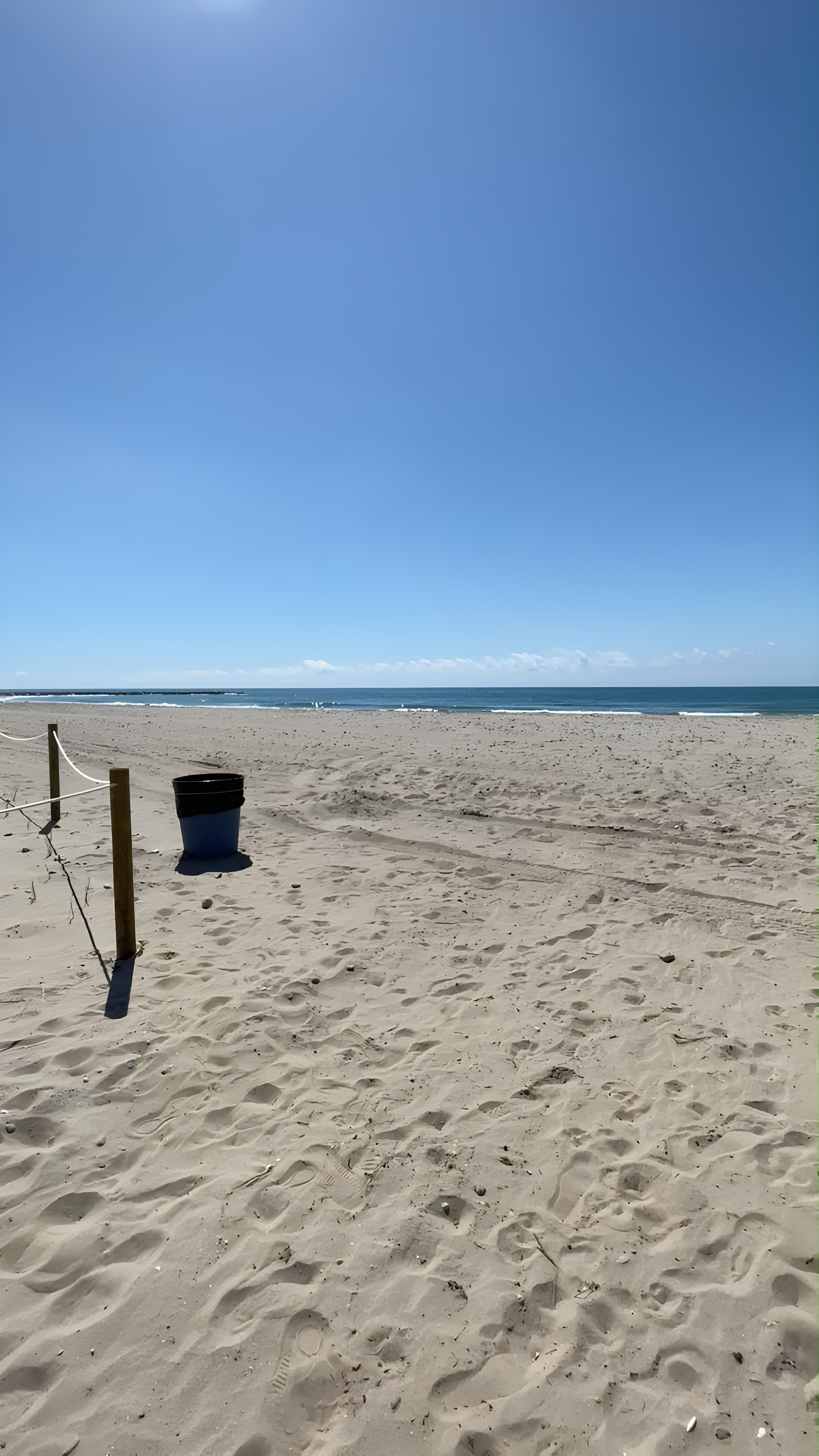 mejores playas para perros en Barcelona