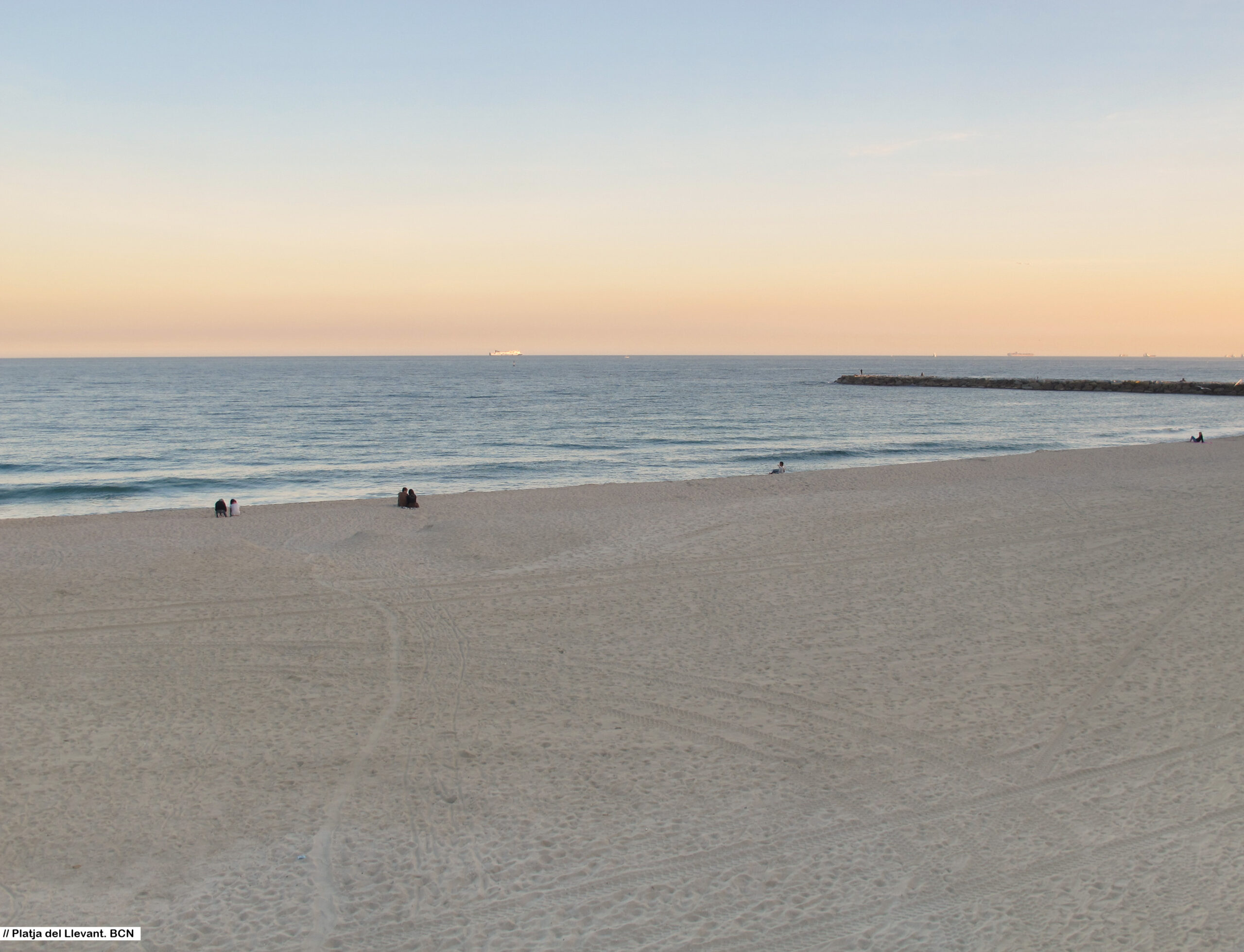 Playas para perros en Barcelona