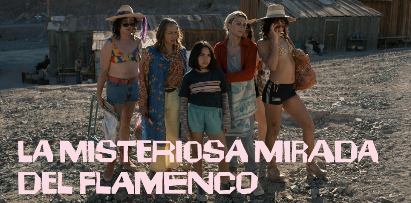 Cinema Lliure a la Platja