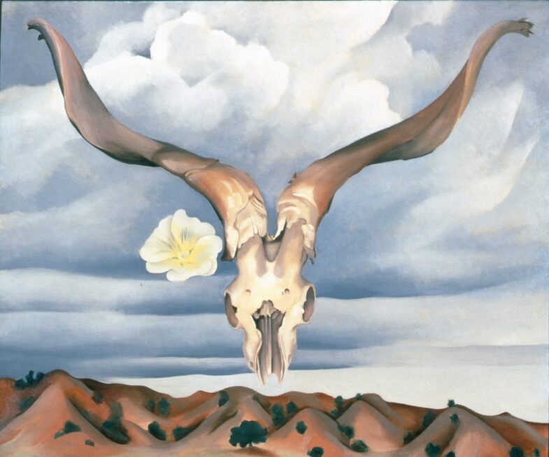 Dart Festival: documental y arte contemporáneo