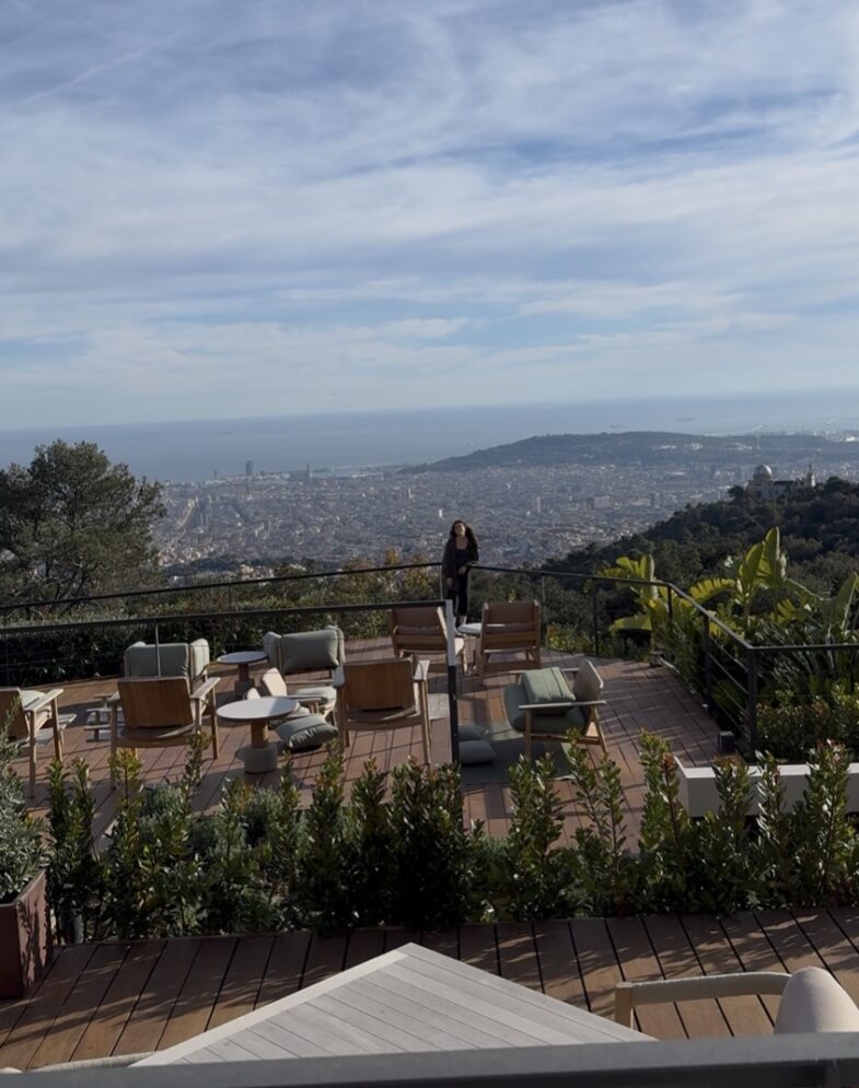 Vistas METT