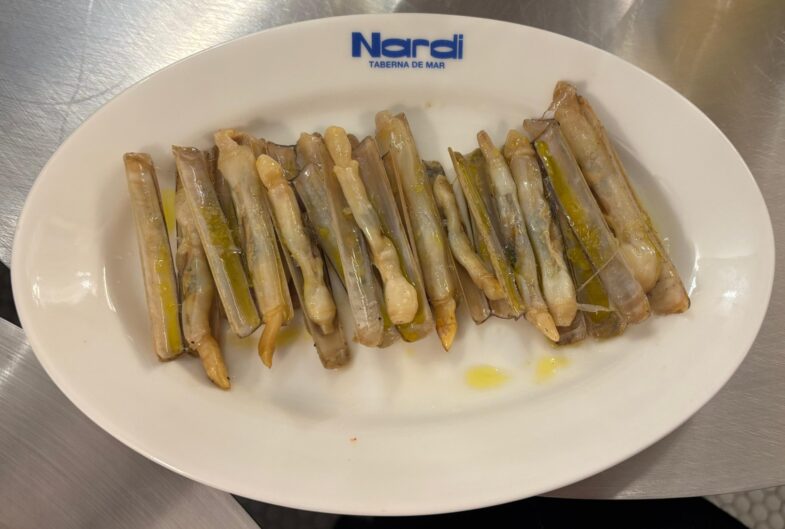 Nardi – Taberna de mar